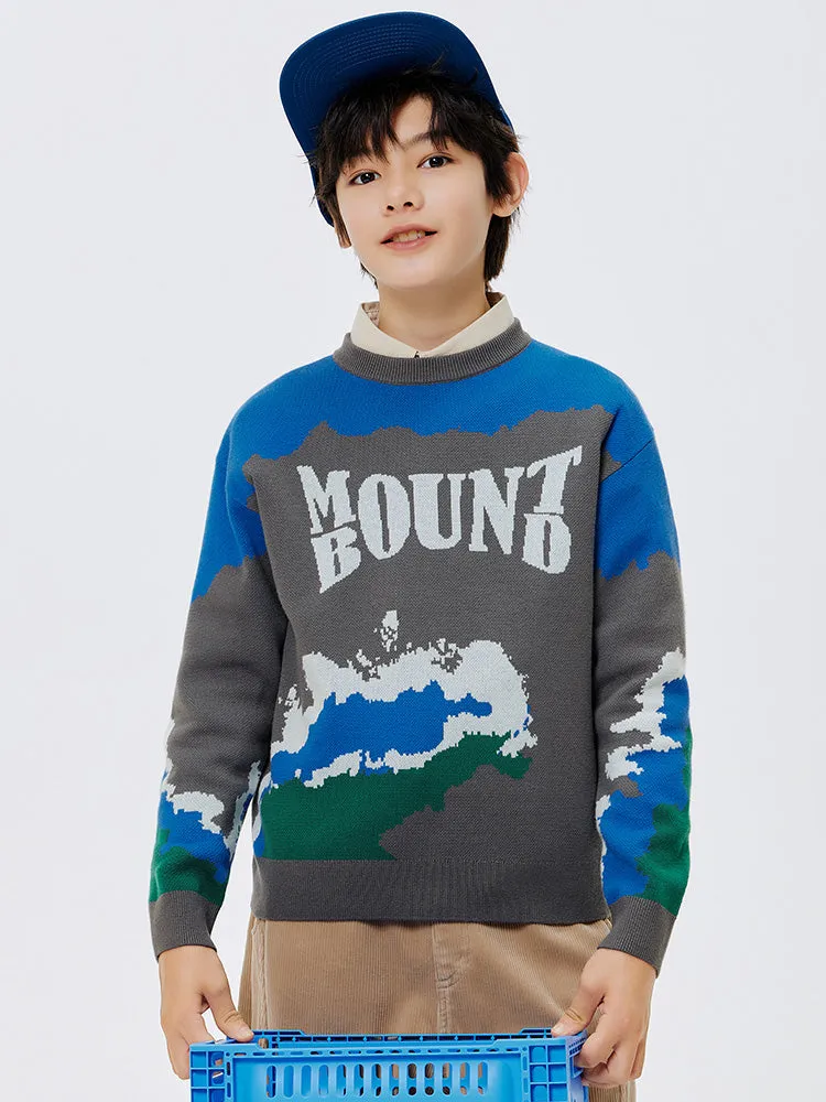 Balabala Kids Boy Gray Hue Sweater