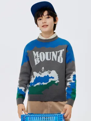 Balabala Kids Boy Gray Hue Sweater