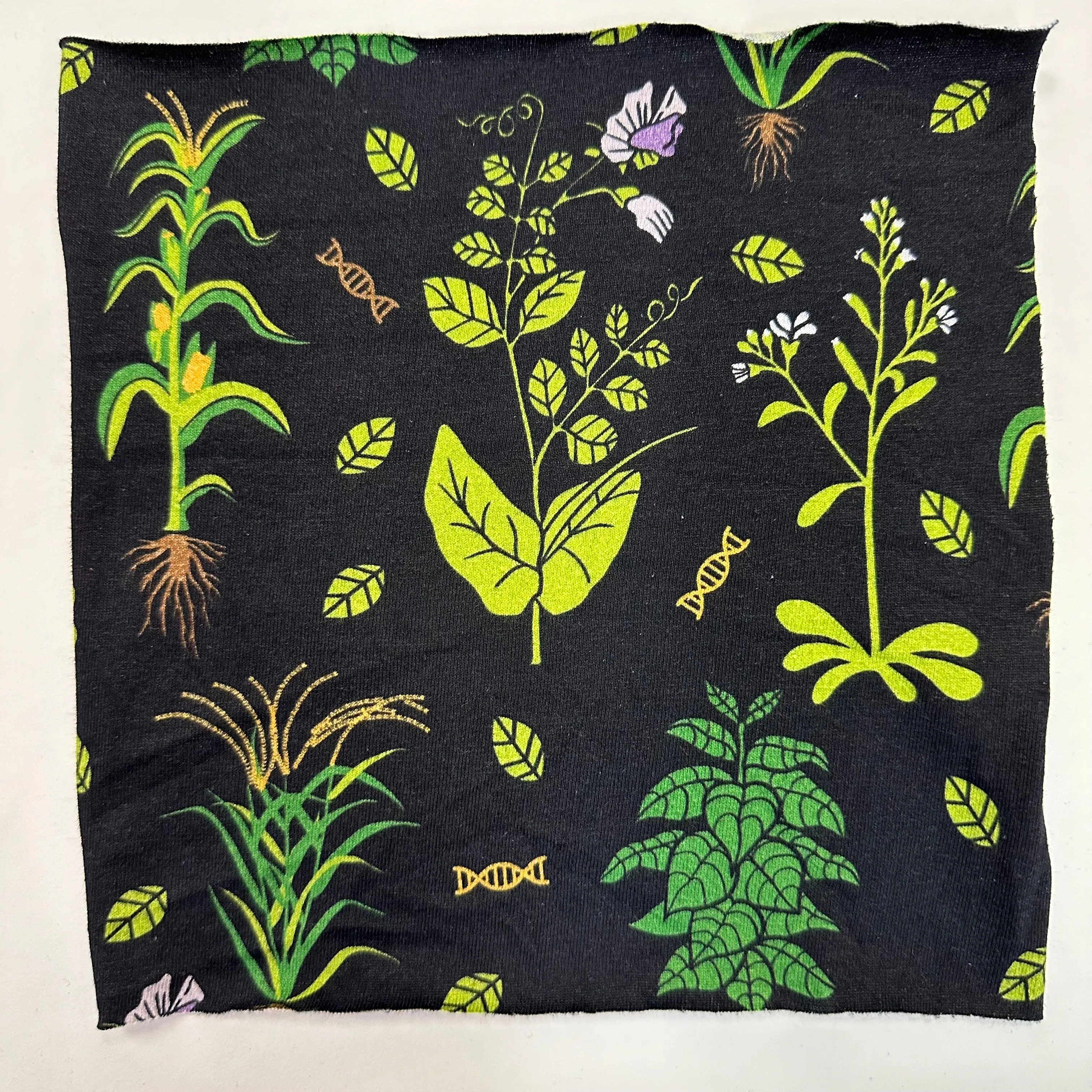 STEAM Fabric Swatches