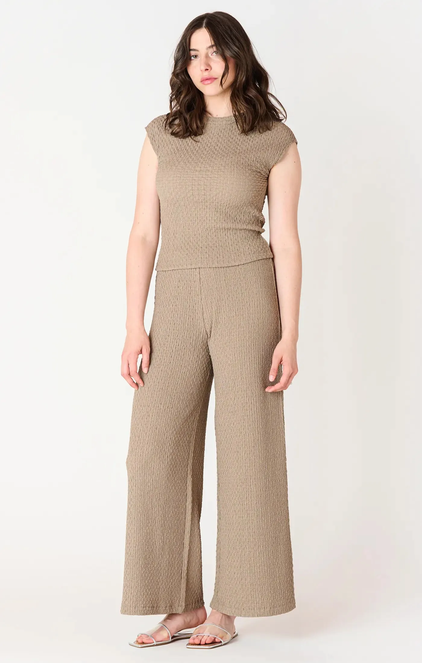 Taupe Textured Flowy Wide Leg Pants 2522201 T